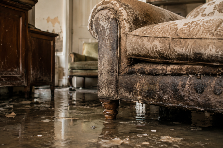 Flood damaged upholstered armchair and furniture left wet in a waterlogged room with visible moisture and mould damage